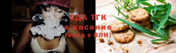 индика Абаза