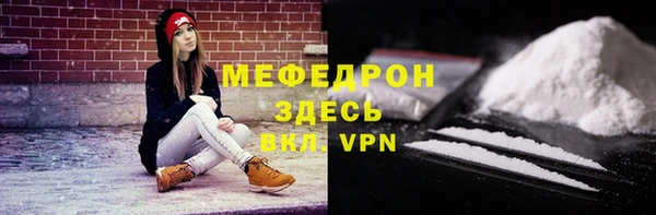 индика Абаза
