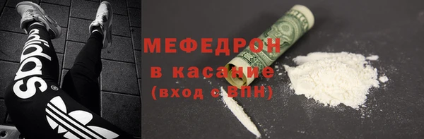 индика Абаза
