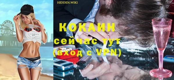 индика Абаза