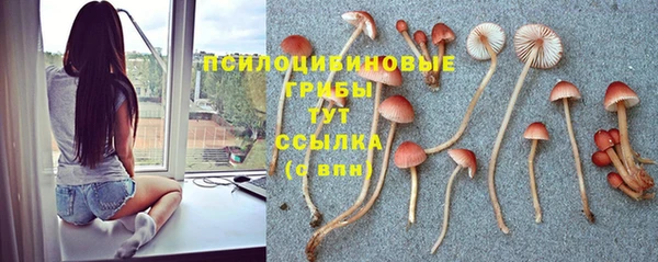 ECSTASY Абинск