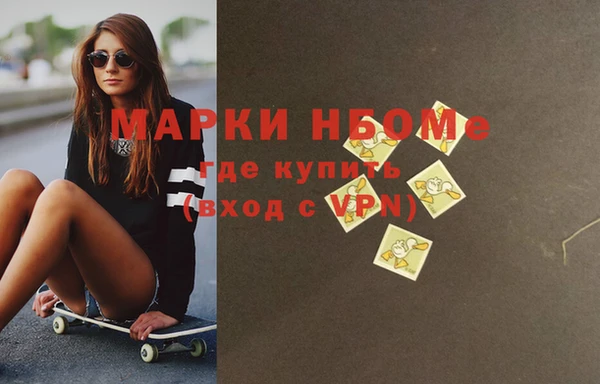 индика Абаза