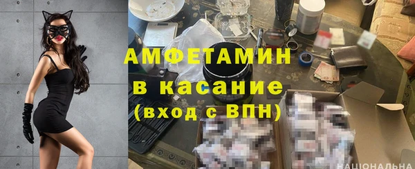 индика Абаза