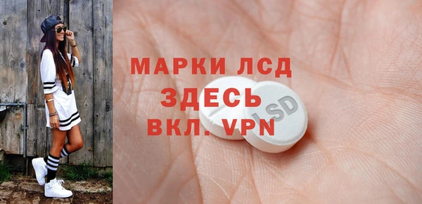 индика Абаза