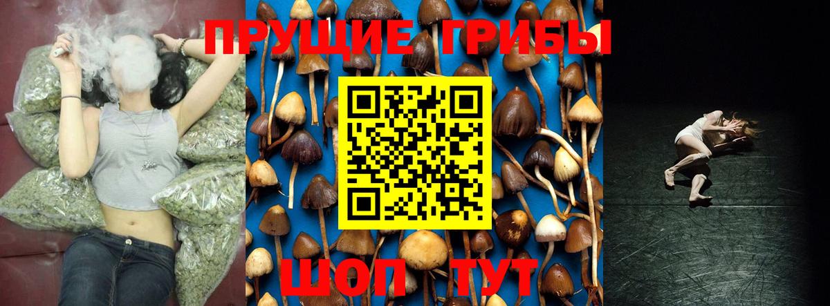 Черемхово  Галлюциногенные грибы ЛСД  Галлюциногенные грибы мухоморы  Вход с VPN 