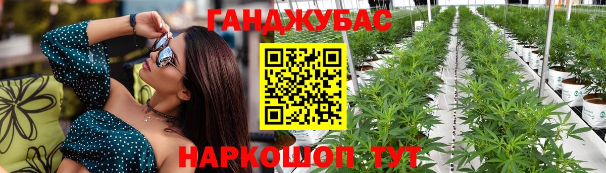 Бошки Шишки планчик Черемхово